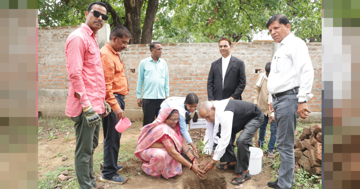 पर्यावरण संरक्षण के तहत जयसिंहनगर में वृहद पौधारोपण, जिला जज और नगर परिषद अध्यक्ष ने रोपे पौधे