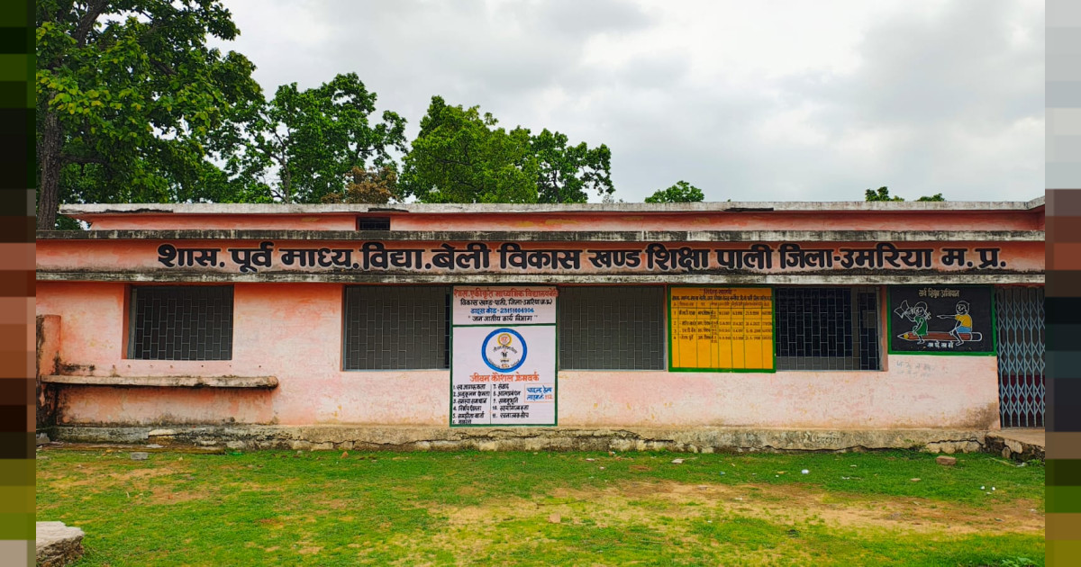 पाली विकासखंड में शिक्षा की बदहाली की तस्वीर