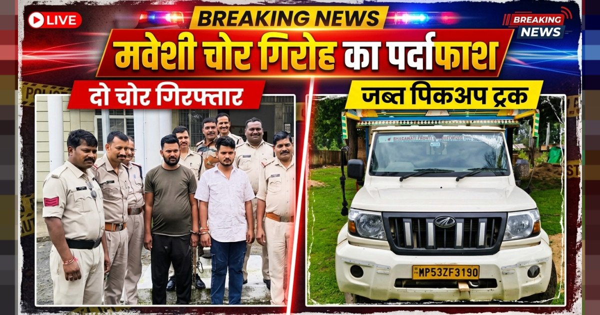 मवेशी चोर गिरोह का पर्दाफाश: पिकअप वाहन, 3 पड़वा व नकदी समेत दो आरोपी गिरफ्तार, दो फरार